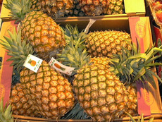 Ananas-2.JPG